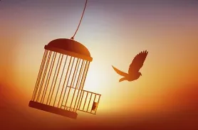 Freedom
